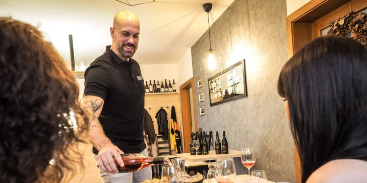 Degustace osmi vzorků vín a následné posezení s vínem a občerstvením