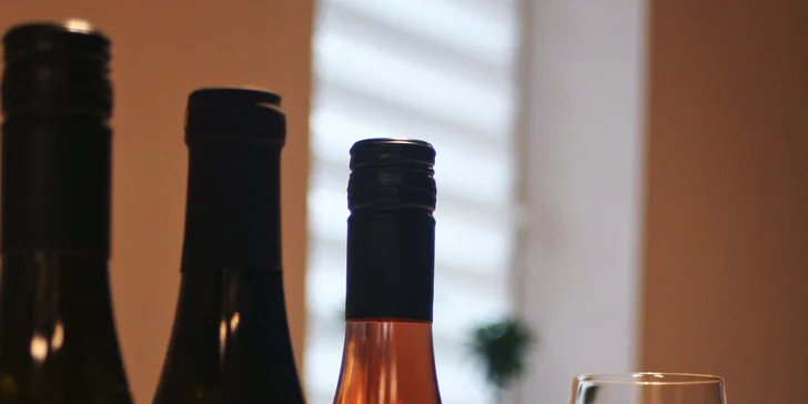 Degustace osmi vzorků vín a následné posezení s vínem a občerstvením