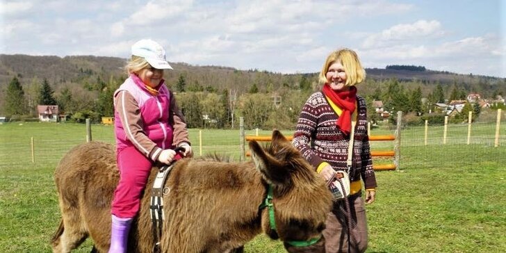 Exkurze na farmě pro celou rodinu: seznámení se zvířaty, prohlídka areálu i jízda na oslíkovi
