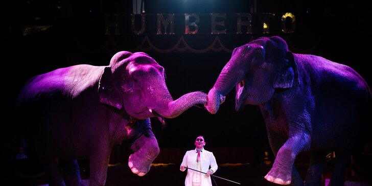 Hurá do Cirkusu Humberto na zbrusu novou show: akrobati, klauni i exotická zvířata v Hodoníně