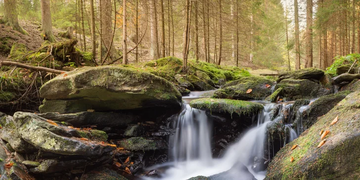 1–3 hod. individuálního fotografického kurzu v exteriéru pro začátečníky i mírně pokročilé