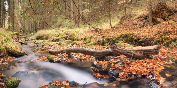 1–3 hod. individuálního fotografického kurzu v exteriéru pro začátečníky i mírně pokročilé