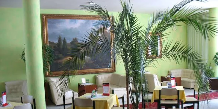 3 dny pro dva na Slovensku v hotelu Regia v blízkosti termálních lázní