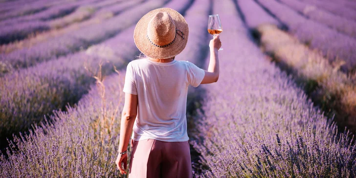 Za krásami jižní Francie: Provence a Monako autobusem, 4 noci se snídaní, průvodce a pestrý program