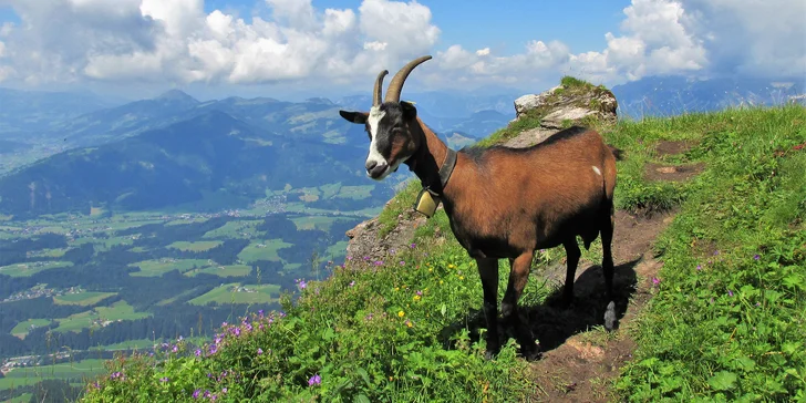 Poznávací zájezd do Kitzbühelských Alp: 3 noci se snídaní, lanovkami na vrcholky hor i lehká turistika