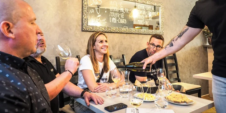 Degustace osmi vzorků vín a následné posezení s vínem a občerstvením
