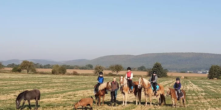 Za koňmi do přírody: vyjížďka nebo kurz komunikace s koňmi pro dospělé i děti