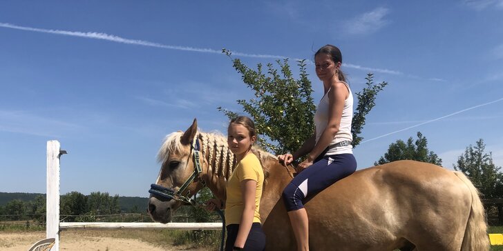 Za koňmi do přírody: vyjížďka nebo kurz komunikace s koňmi pro dospělé i děti