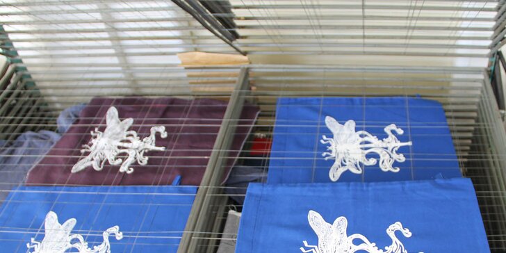 Workshop sítotisku a vlastnoruční potisk až 12 kusů textilu