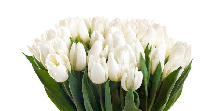 Jaro je tu: kytice z 29, 39, 49 či dokonce 99 tulipánů různých barev