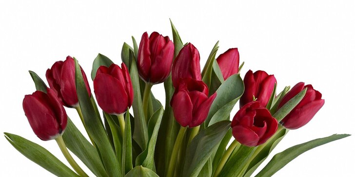 Jaro je tu: kytice z 29, 39, 49 či dokonce 99 tulipánů různých barev