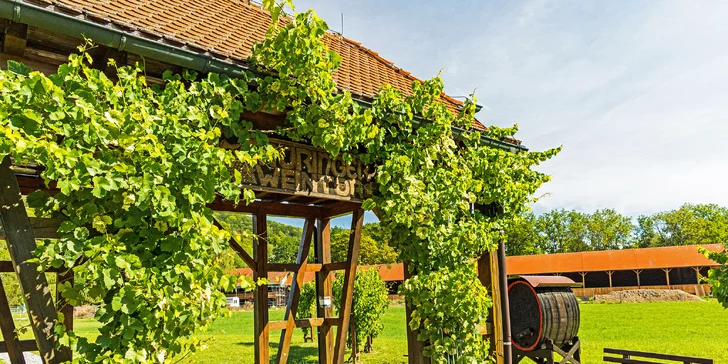 Výlet do Bad Sulza: celodenní relax v lázních Toscana vč. dopravy autobusem