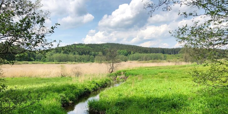 Relax v přírodě: penzion v CHKO Český les, polopenze i privátní wellness