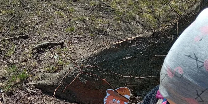 Dobrodružství a zábava: jarní dobrodružné bojovky pro děti už od 4 let