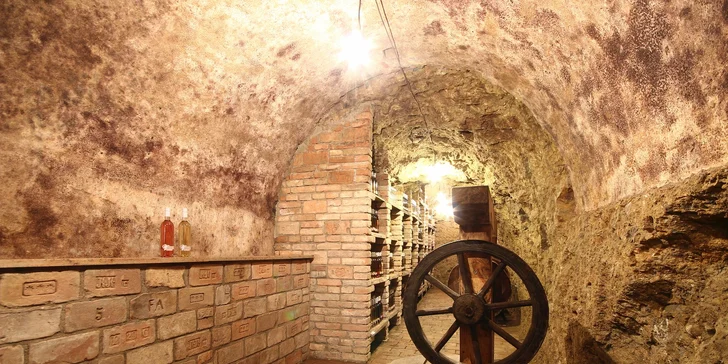 Pobyt v Zaječí: snídaně i degustace ve vinném sklípku a wellness