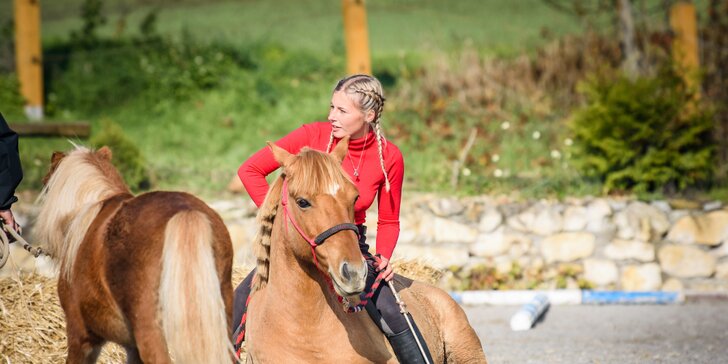 Netradiční den u koní: nejen výcvik a vyjížďka, ale i práce ze země a cirkusové kousky
