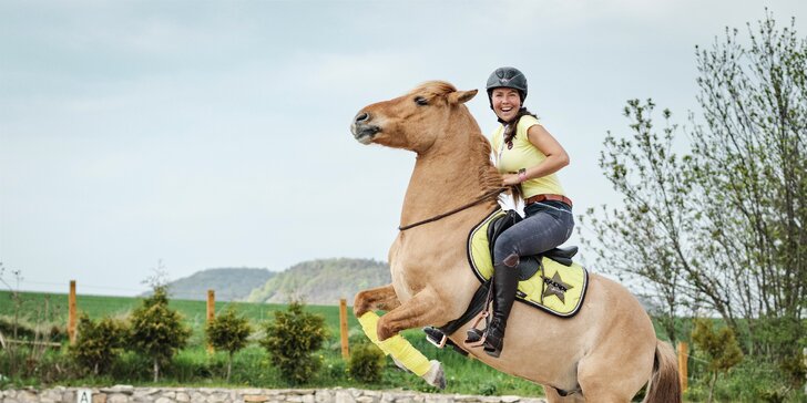 Netradiční den u koní: nejen výcvik a vyjížďka, ale i práce ze země a cirkusové kousky