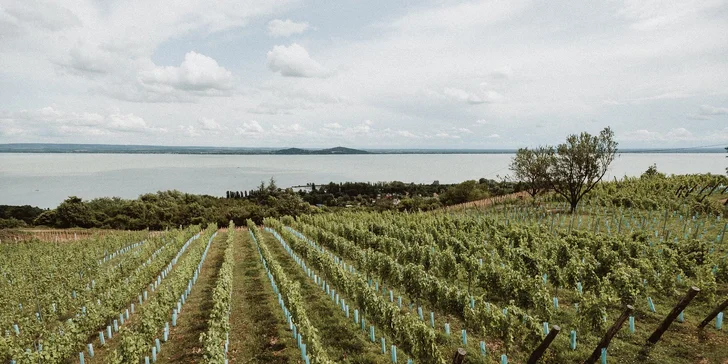 Dovolená přímo u Balatonu: pobyt s polopenzí a neomezeným wellness v saunové zóně, vířivkách i bazénu