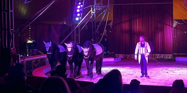 Nová show Cirkusu Alex: 2hodinový program ve vyhřívaném šapitó, klauni i provazochodci