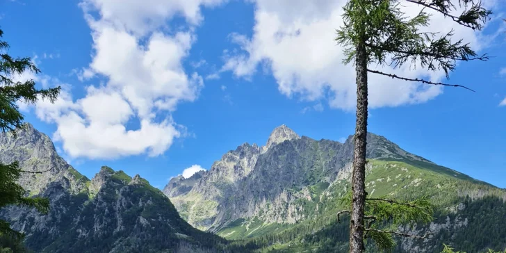 Půjčení elektrokoloběžek na hodinu, den či celý víkend: Lipno nebo Boršov nad Vltavou