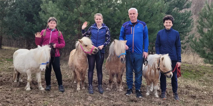 Odpoledne s minikoněm Falabella v Pošembeří: čištění a nastrojení, vycházka, pomazlení i mrkvová hostina