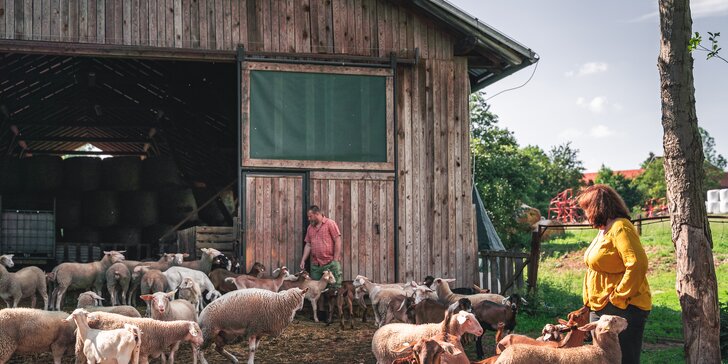 Ukázka farmy a ochutnávka sýrů pro 1–4 osoby: exkurze ke zvířatům i dřevěná koza na zkoušku dojení
