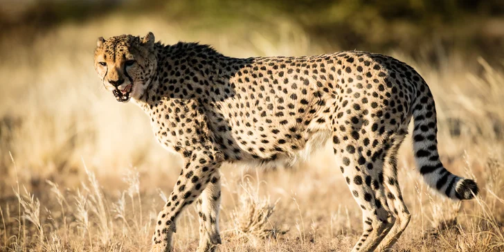 Kurz focení cestovatelské i noční fotografie nebo balíček se základy fotografování