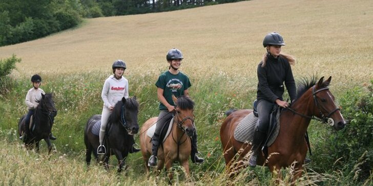 Romantika v koňském sedle: úvod do jezdeckého výcviku, teorie i 45 min. jízdy