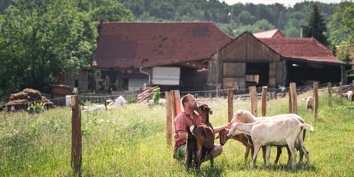 Ukázka farmy a ochutnávka sýrů pro 1–4 osoby: exkurze ke zvířatům i dřevěná koza na zkoušku dojení