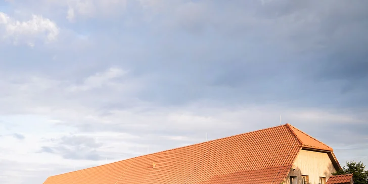 Burger menu pro 1 nebo 2 osoby: vegetariánský či hovězí burger, chipsy a dezert nebo pivo