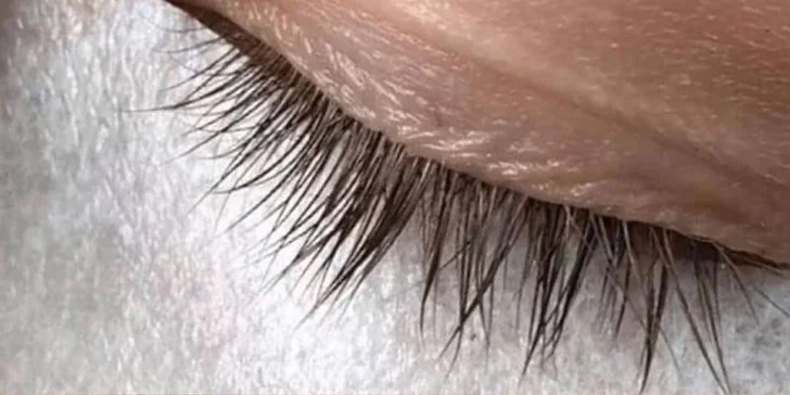 Lash lifting i laminace obočí vč. barvení nebo profesionální líčení