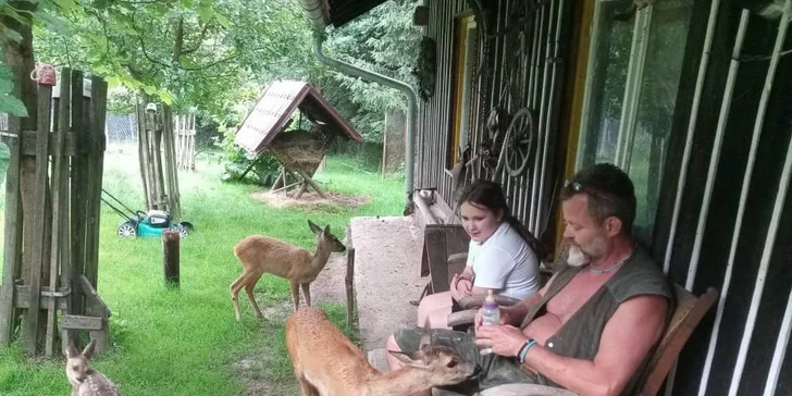 Komentovaná prohlídka Zoocentra Srdov s možností přímého krmení zvěře