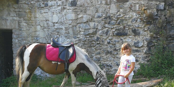 Vyjížďky na koni: poníci pro děti nebo koně pro dospělé