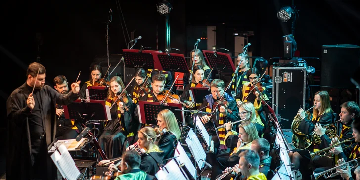 Vstupenka na koncert filmové hudby - Harry Potter Orchestra Live Tribute