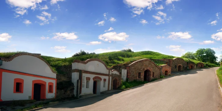 Dovolená pro milovníky vína: degustace s neomezenou konzumací vína i sleva do pivních lázní