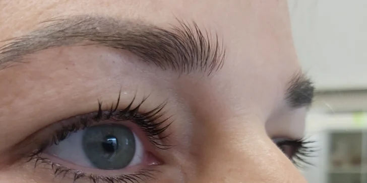 Oslnivý pohled každý den: lash lifting řas vč. barvení a regenerace