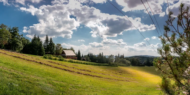 Valašská kyselice s chlebem a borůvkové knedlíky s tvarohem pro 2 osoby