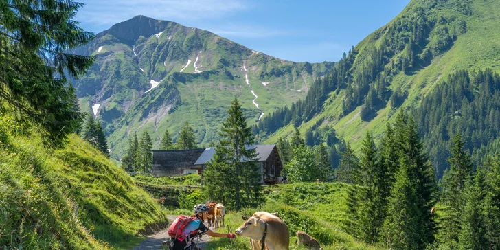 Dachstein s neomezeným wellness, snídaněmi a turistickou kartou Tennengau Plus Card