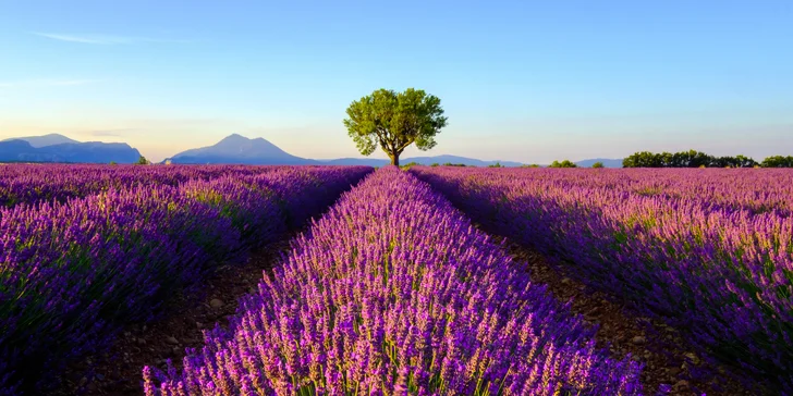 Pětidenní zájezd do Provence vč. přespání v hotelu a snídaně