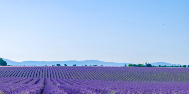 Pětidenní zájezd do Provence vč. přespání v hotelu a snídaně