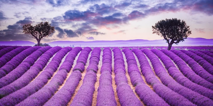 Pětidenní zájezd do Provence vč. přespání v hotelu a snídaně