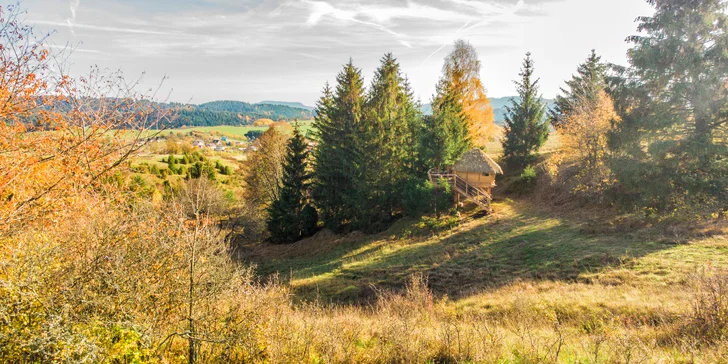 Krásný domek na stromě s velkou terasou: relax a romantika uprostřed tiché přírody