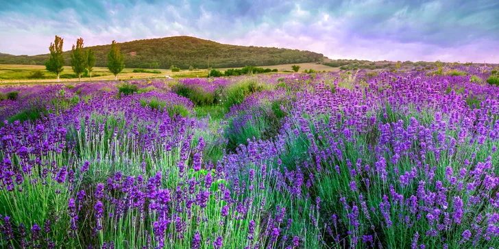 Pětidenní zájezd do Provence vč. přespání v hotelu a snídaně