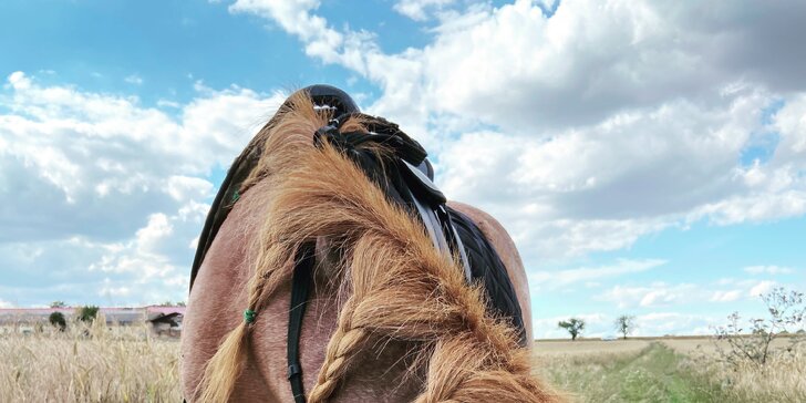 Zkuste si být na den farmářem: koně a poníci, teorie i zemědělské stroje