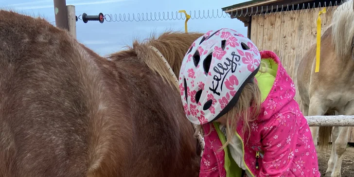 Zkuste si být na den farmářem: koně a poníci, teorie i zemědělské stroje