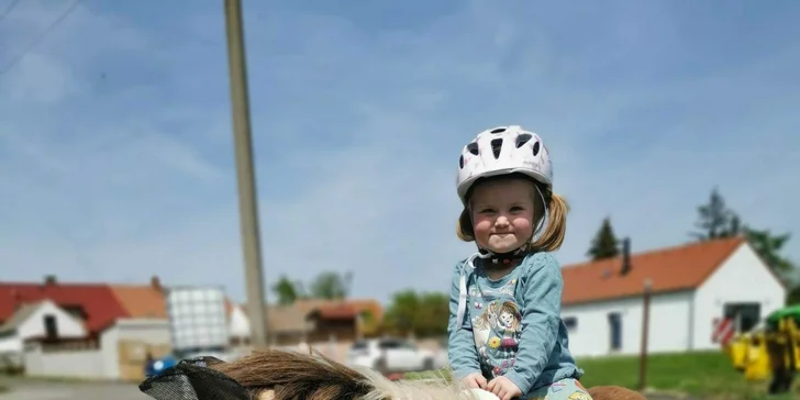 Zkuste si být na den farmářem: koně a poníci, teorie i zemědělské stroje