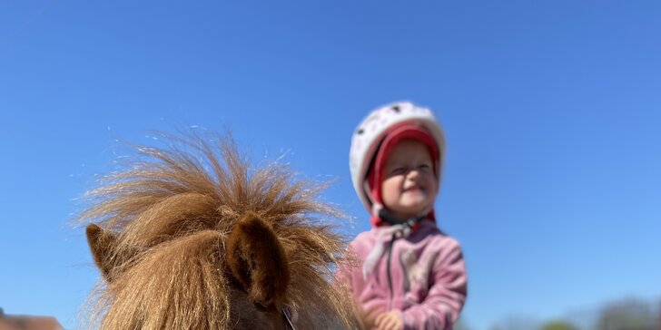 Zkuste si být na den farmářem: koně a poníci, teorie i zemědělské stroje