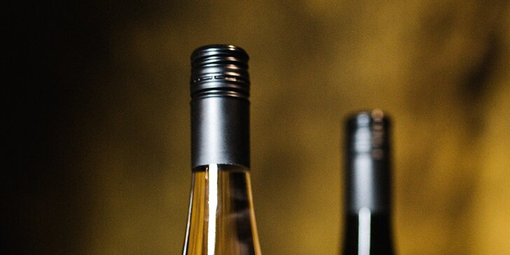 Prohlídka vinařství s degustací 6 vzorků vína, na výběr i včetně pohoštění
