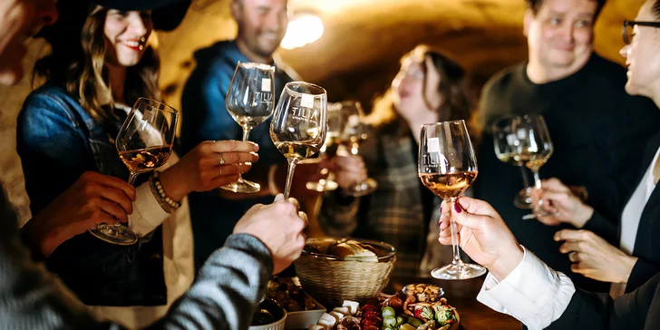 Prohlídka vinařství s degustací 6 až 8 vzorků vína i včetně pohoštění