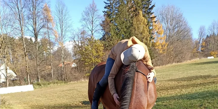 Péče o koně, přirozená komunikace nebo projížďka v přírodě pro 1 osobu